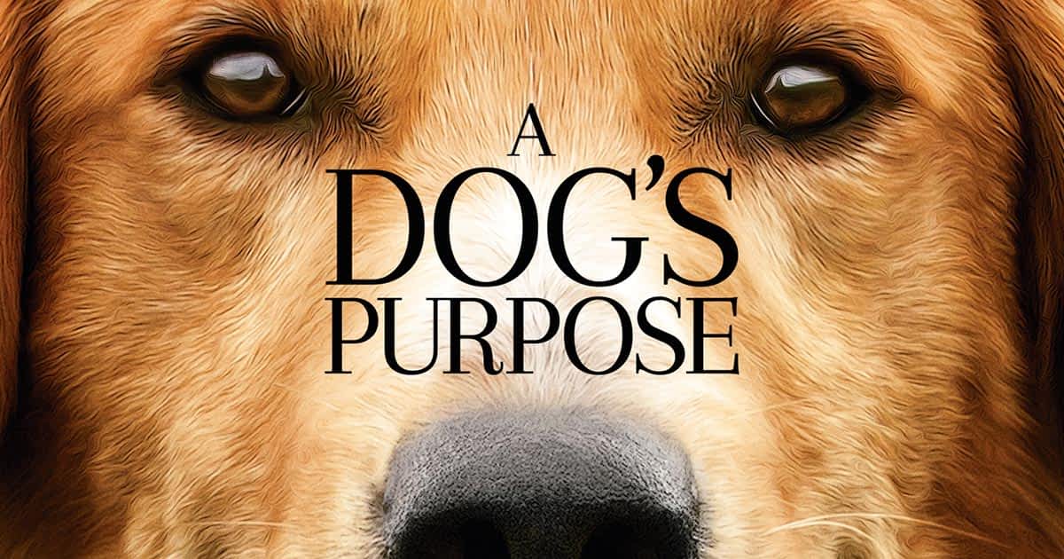 a dogs purpose sequel
